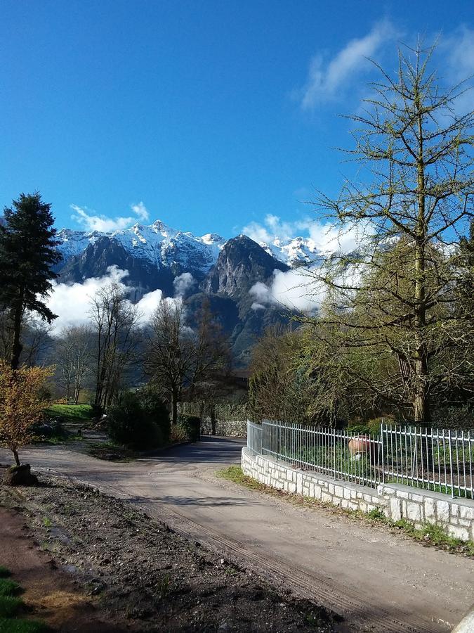 Вілла Masetto Egidio Eco-Agritur Strigno Екстер'єр фото