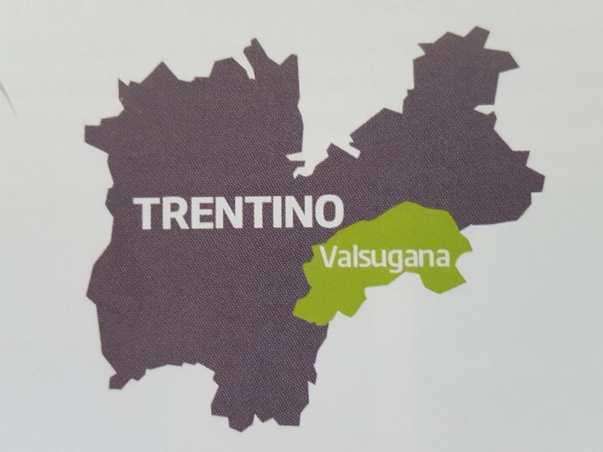 Вілла Masetto Egidio Eco-Agritur Strigno Екстер'єр фото